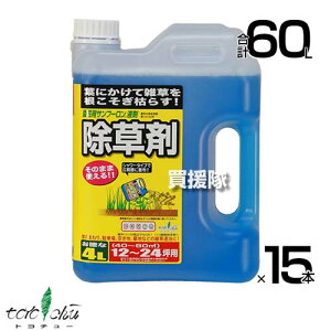 yP5{zs@ltg`[ |p Tt[ t܃V[ 4L×15{Zbg y{ ̂܂܎g V[^Cv  OzT[g _ G ΍ G΍ |   S