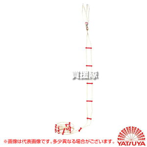 yő9600~OFFN[|szyP3{zcH ZteB[v 12m 12097 y[v y [v͂ p[v j ЊQ   p hЗpi hЃObY nk ΍ ΍zy