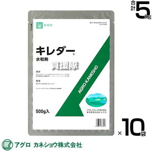 AOJlVE L_[a 500g×10 yCVNQ [jSP  RP   p  St Œn Ԃޓ̌l  t ł߂Ă܂ ߃^Cv t^Cv 