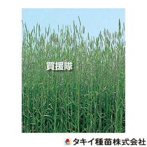 ^LCc  Δp 炢 CY 1kg×5 BMU512 yq  ^l  Δ앨 Δ ͔| Ǎ͔|  ]  ቷ   L^lRuZ`E ԕa x } 