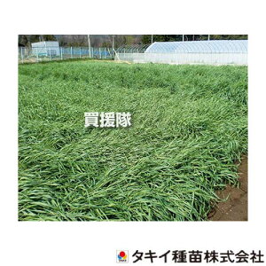 ^LCc  Δp C Ӑ 1kg×3 BMU536 yq  ^l  Δ앨 Δ ͔| Ǎ͔| 炢  ] z~ɗD ׋ەaɜaȂ L^lOTZ`E } 