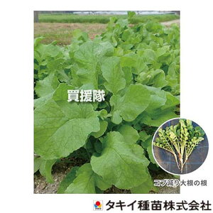^LCc Ru卪 60ml BTY504 yq  ^l  Δ앨 Δ ͔|  ] i ɂƂ 債Ȃ卪 Gۂ̔ɐBy Tc}ClRuZ`E x 