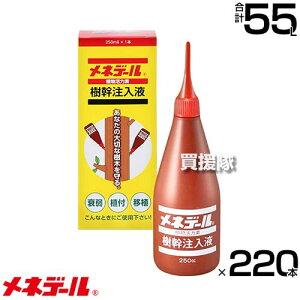 yő9600~OFFN[|szyP3{zs@ltlf[  250cc×220{ yɒڒ f mȌ ؂ ؂At ؂ڐA t̐Fǂ A