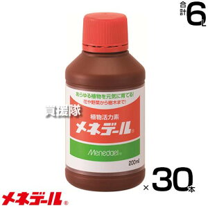 lf[ A͑f 200cc×30{ y200ml   A ÃTvg g  ܂ At Aւ ̊̓Abv ƒ؉ |   ؂ ԕc ؕc 