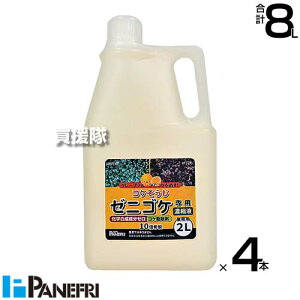 pltH [jSPpƖp 2L×4{ Zkt y[jSP  RP _knp 10{ v Ɩ p RPp 쏜 RP쏜 VRR  ͂炷 oϓI  t ł߂