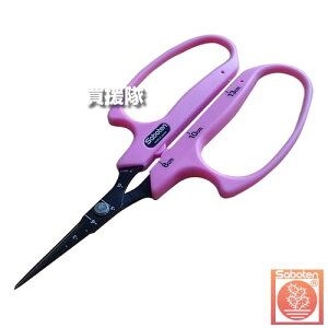 T{e Ԃǂnnh 160mm sN B-1MFPB yuhE   nT~ ͂ ڐt XeX tbfR[g Vuɂ E [ l _ _Ɨp ʎ |