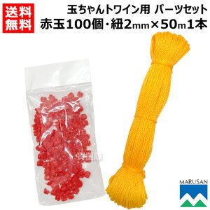 N[|ōő1000~OFFێOY ʂgCp ԋ100 { R2mm×50m1{ p[cZbgyc[v c[v p p[c i  ւ IvVi eiX pi _ 