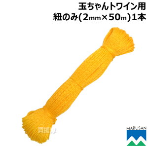 ێOY ʂgCp R̂ 2mm×50myc[v c[v p p[c i  ւ IvVi eiX pi _ _ rj[nEX nEXݒu cA  cA 