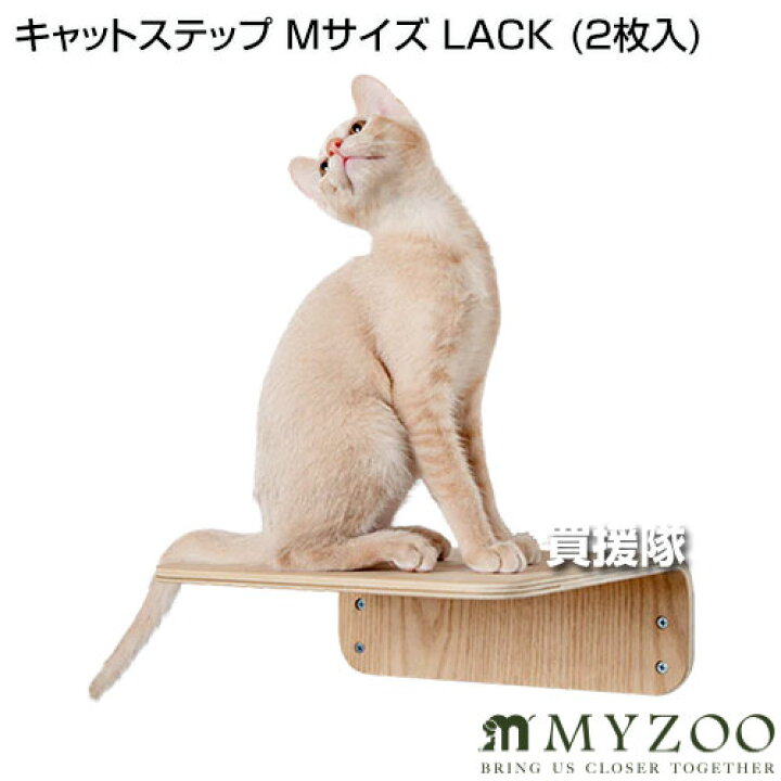 楽天市場】MYZOO キャットステップ Mサイズ LACK （2枚入） 【キャット 
