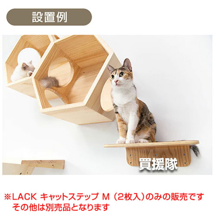 楽天市場】MYZOO キャットステップ Mサイズ LACK （2枚入） 【キャット 