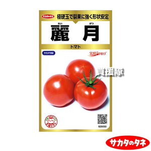 �yP5�{�z�T�J�^�̃^�l �g�}�g �팎 ��40�� ������ ProGold 920050 �y�t �܂� �T�� ���� �i�� ��� �� �^�l ���� ��q �T�J�^��z �g�}�g �Ƃ܂� ��� ��������Ƃ�� �ƒ�؉� ���| �K�[�f�j���O 