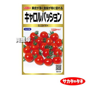 �T�J�^�̃^�l �~�j�g�}�g �L�������p�b�V���� ��40�� ������ ProGold 00920150 �y�t �܂� �T�� ���� �i�� ��� �� �^�l ���� ��q �T�J�^��z �~�j �݂� ���^ �g�}�g �Ƃ܂� �ƒ�؉� ���| �K�[�f