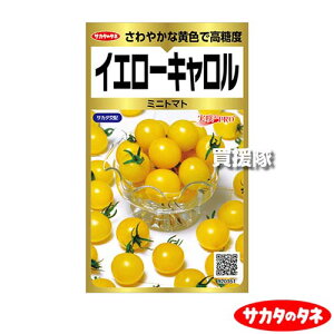 �T�J�^�̃^�l �~�j�g�}�g �C�G���[�L������ ��40�� ������ ProGold 00920151 �y�t �܂� �T�� ���� �i�� ��� �� �^�l ���� ��q �T�J�^��z �~�j �݂� ���^ �g�}�g �Ƃ܂� �ƒ�؉� ���| �K�[�f�j