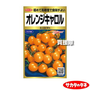 �yP5�{�z�T�J�^�̃^�l �~�j�g�}�g �I�����W�L������ ��40�� ������ ProGold 920152 �y�t �܂� �T�� ���� �i�� ��� �� �^�l ���� ��q �T�J�^��z �~�j �݂� ���^ �g�}�g �Ƃ܂� �ƒ�؉� ���| �K