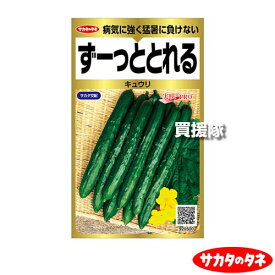 サカタのタネ キュウリ ずーっととれる 約40粒 実咲野菜 ProGold 920500 【春 まき 撒き 蒔き 品種 野菜 種 タネ たね 種子 サカタ交配 キュウリ きゅうり 胡瓜 たくさんとれる 家庭菜園 園芸 ガーデニング 菜園 庭 ベ】【おしゃれ おすすめ】[CB99]