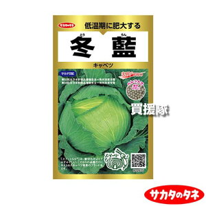 �yP5�{�z�T�J�^�̃^�l �L���x�c �~�� �y���b�g�V�[�h ��300�� ������ ProGold 00922075 �y�Ƃ���� �~���瑁�t�ǂ� �i�� ��� �� �^�l ���� ��q �T�J�^��z ����ׂ� ���Ӑ� �ƒ�؉� ���| �K�[