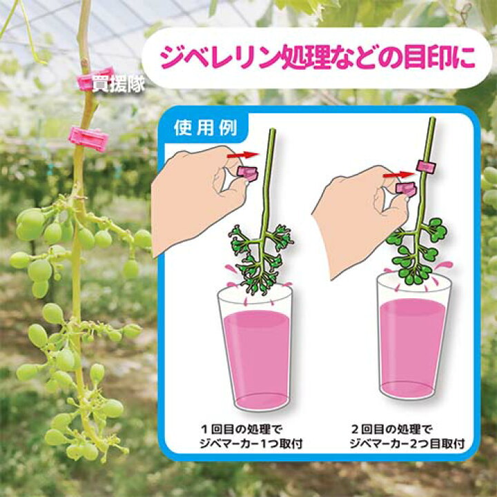 楽天市場】☆ポイント5倍☆シーム ジベマーカー ビビッと！ 500個入（5 