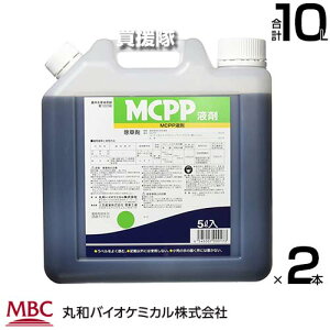 ۘaoCI MCPPt 5L×2{Zbg  y{ m u[OX ΒnǗ p  N[o[ LtG XMi gNT  뉀 ԏ H n ̂ S Uz  t 