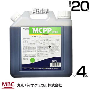 s@ltۘaoCI MCPPt 5L×4{Zbg  y{ m u[OX ΒnǗ p  N[o[ LtG XMi gNT  뉀 ԏ H n ̂ S Uz 