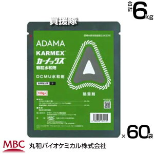 s@ltۘaoCI J[bNXa 100g×60܃Zbg  y_kn ΒnǗ   sty돈  ݂ Ƃ pCibv cl  뉀 