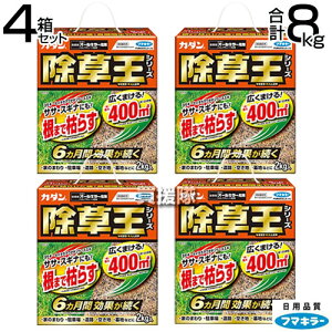 t}L[ J_  I[L[ 2kg×4Zbg y6Ԍʂ G ΍ ܂Ō͂炷  t s G΍ K[fjO |     ^Cv  S Uz 