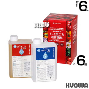 anC|jJ nC|jJt̔엿 1L (AEBZbg)×6 yc  k͔| yk͔|   ϗtA A 琬 t 엿 ͔| Ŕ߂邾  t ߃^Cv t^Cv Ŕ