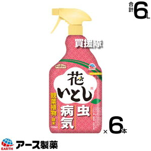 A[X ԂƂ 1000ml×6{ A[XK[f yꂢȉԂ炩l 1 E Eۍ L ϗtA  Q  aC ΍ \h ގ AuV n_j AU~E