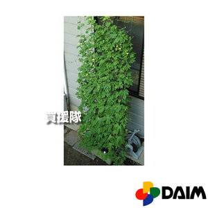 �yP4�{�z���r�j�[�� ���񂽂�݉���3m �΂̃J�[�e�� 80cm×3.0m�y���悯 �X�N���[�� �x�����_ �� ���p ���ς� �E�b�h�f�b�L �e���X �o���R�j�[ �x�����_ ���L ���C�h �݉��� �݂艺�� �O���[