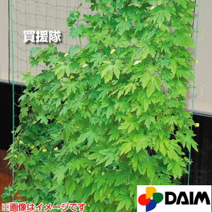 rj[ ΂̃J[e TCh[vt ΂̃J[elbg 3.6m×5my΂̃J[elbg   ւ |lbg DAIM lbg TCh[vt ݉ ݂艺 O[J[e ΂