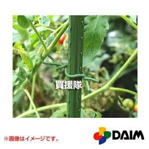 rj[ 炩oh 2.5×5myƒ؉ K[fjO | rj[ DAIMzy ߁z[CB99]