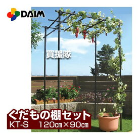 第一ビニール くだもの棚セット パーゴラ 120cm×90cm KT-S [設置サイズ：幅90cm×奥行120cm×高さ（土中30cm埋め込み時）180cm]【ぶどう棚 藤棚 ふじ棚 葡萄棚 園芸棚 菜園 棚 支柱 園芸 用品 つる ヘチマ キウイ 栽培 格子棚 軒下 ツル】