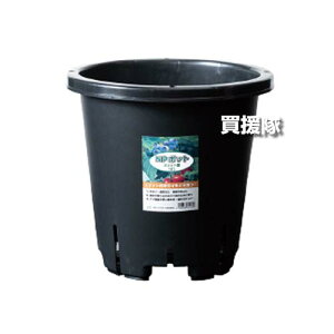 DICvX`bN  12L Xbg^  NP|bg y10 ی^ c c 琬 n ʎ  |bg  Xbg    h~ ͂ ʋC r T[NO v^[zy