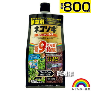 C{[i lR\MOV[V9 GRpE`800ml y߂̂܂܎g V[^Cv 9Ԍʂ  _ XXL  hN_~ CVNQ RP ZC^JA_`\