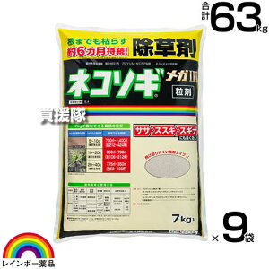 s@ltC{[i lR\MKIII  7kg×9 y܂ł͂炷 ̂܂ܒnʂɃpp܂^Cv ̂܂܎Uz 6Ԏ  TT XXL XMi NCl G ΍ 