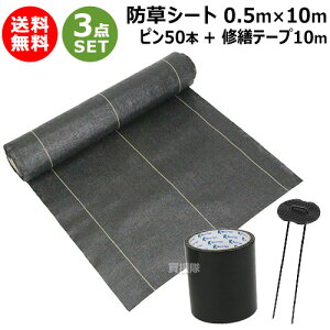 3_Zbg hV[g  0.5m×10m R̎s50{ CUe[v10m ZbgyZteB[3 ό 7N x V[g GV[g G΍ Gh~ 悯 G悯  ubN 