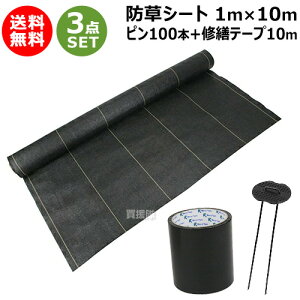 3_Zbg hV[g  1m×10m R̎s100{ CUe[v10m ZbgyZteB[3 ό 7N x V[g GV[g G΍ Gh~ 悯 G悯  ubN 