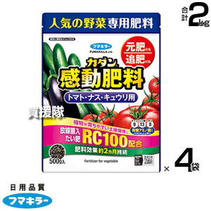 �yP5�{�z�t�}�L���[ �J�_�������엿 �g�}�g�E�i�X�E�L���E���p 500g×4�܃Z�b�g �y�엿���� ��2�������� �Ƃ܂� �֎q �ӉZ �l�C ��� ��p�엿 ���� �ǔ� RC100 �L�@�A�~�m�_���� ��؂��傫����