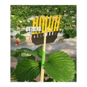 Ng[fBO vgbv9 n_jSߊl 200 (20×10) ynEX _ |  ߒp V[g V[  ߊl  ΍ _ i n_j i~n_j ~Jn_j 