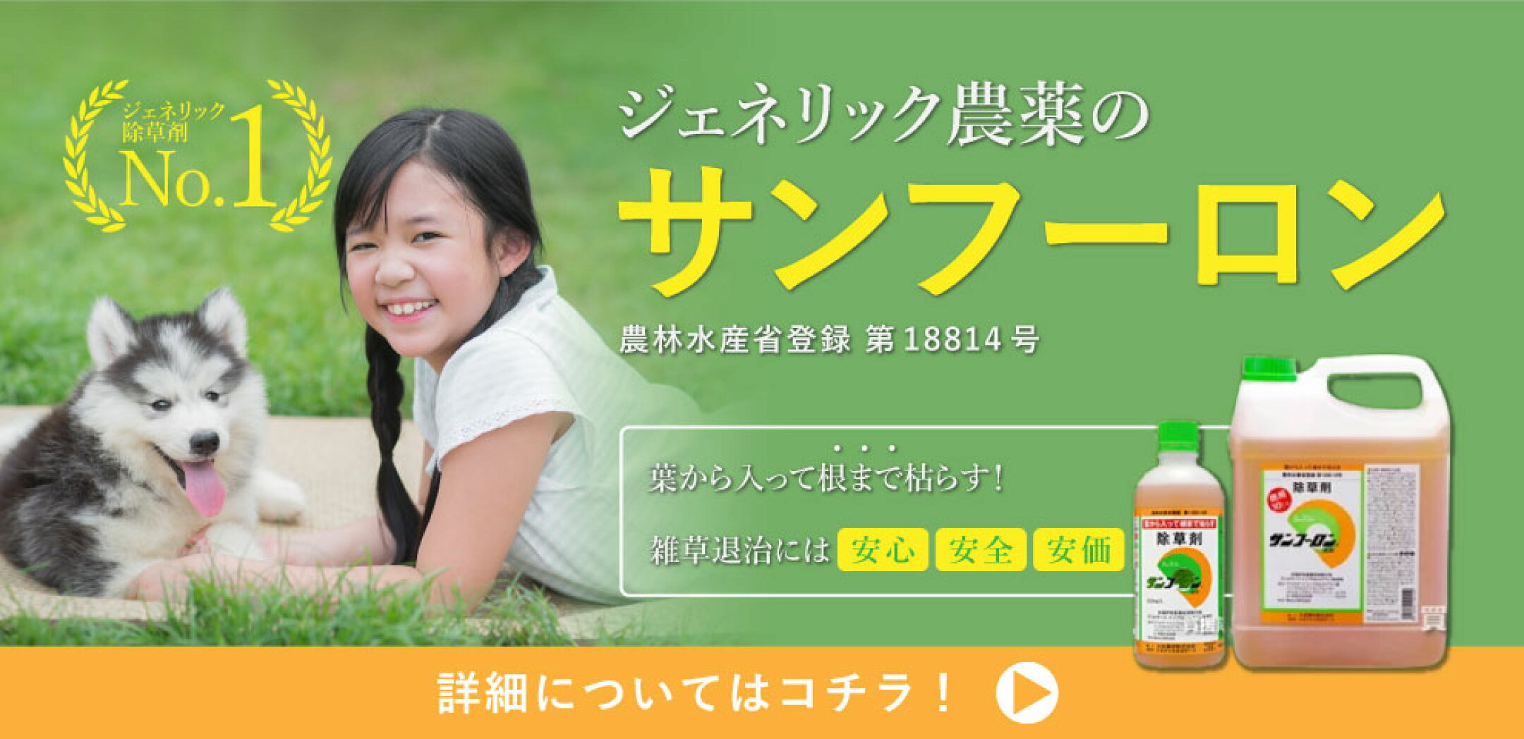 葉から入って根まで枯らす！雑草退治には安心・安全・安価、ジェネリック農薬のサンフーロン！ジェネリック除草剤売上No.1農林水産省登録第18814号除草剤