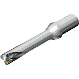 �y�|�C���g10�{�z�T���h�r�b�N(��)�R���}���g�J���p�j�[ SANDVIK �R���h����DS20�n��������h����(465) DS20-D2100L25-05 �yDIY �H�� TRUSCO �g���X�R �z�y������� �������߁z[CB99]