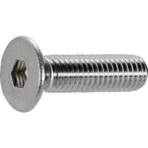 y|Cg10{zgXRR() TRUSCO ZptM{g XeX M6×40 12{ B129-0640 yDIY H TRUSCO gXR zy ߁z[CB99]