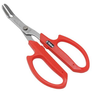 g   SGJ-10 y|Cg10{zy  G  ؉  L _ _@zy ߁z[CB99]