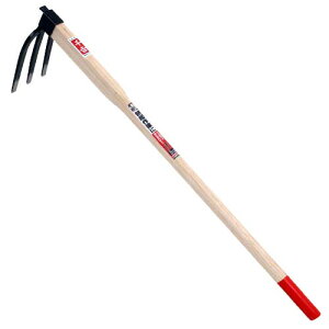 gE|pLE900MM y|Cg10{zy L @ yN N   H   k _@zy ߁z[CB99]