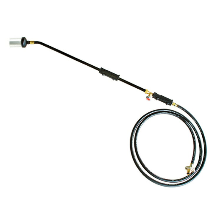 楽天市場】☆ポイント最大10倍＆最大400円OFFクーポン☆6月1日限定  