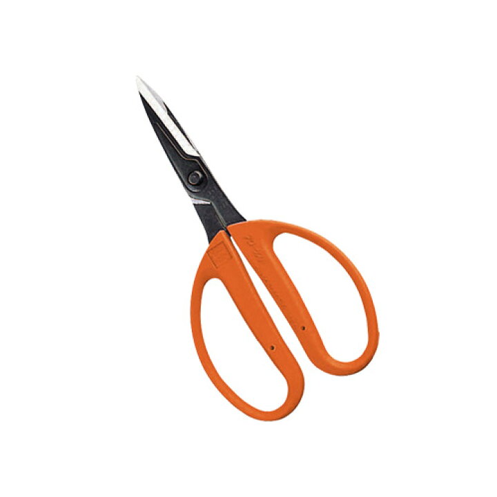 楽天市場 近正 フローリストacolor 柄 エラストマー樹脂 Nsa 160 鋏 ハサミ はさみ 園芸用 ガーデニング ガーデン ツール 道具 畑 園芸 花 庭 手工具 家庭菜園 家庭用 おしゃれ おすすめ Cb99 買援隊