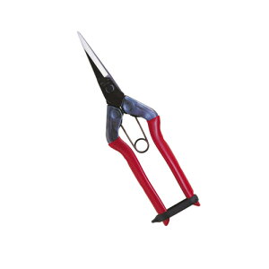ߐ  뒼nolt T-550 y nT~ ͂ |p K[fjO K[f c[   |   H ƒ؉ ƒpzy ߁z[CB99]