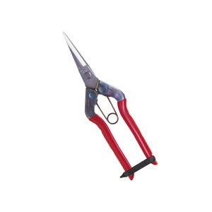 ߐ XeX 뒼nolt T-550S y nT~ ͂ |p K[fjO K[f c[   |   H ƒ؉ ƒpzy ߁z[CB99]