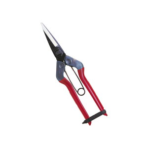 ߐ щ 뒼nolt T-601 y nT~ ͂ |p K[fjO K[f c[   |   H ƒ؉ ƒpzy ߁z[CB99]
