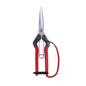 ߐ t n[hNbLnolEK[ht T-710GDX y nT~ ͂ |p K[fjO K[f c[   |   H ƒ؉ ƒpzy ߁z[CB99]