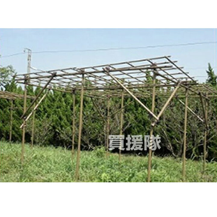 楽天市場 法人限定 積水樹脂 フルーツパーゴラ Kingサイズ 家庭菜園 ネット棚 キット 園芸 支柱 用品 園芸ネット 野菜作り 積水樹脂 おしゃれ おすすめ Cb99 買援隊